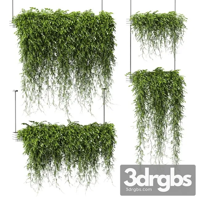 Plants in hanging pots v3. 4 models