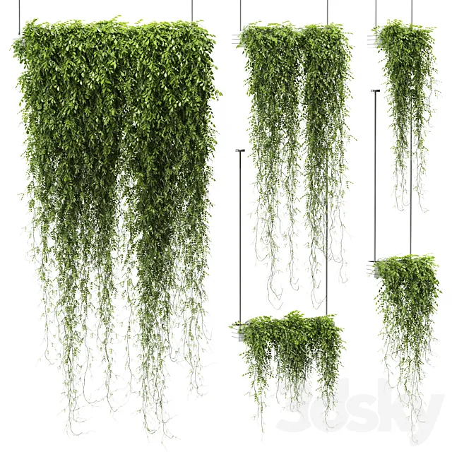 Plants in hanging pots v4. 5 models 3ds Max