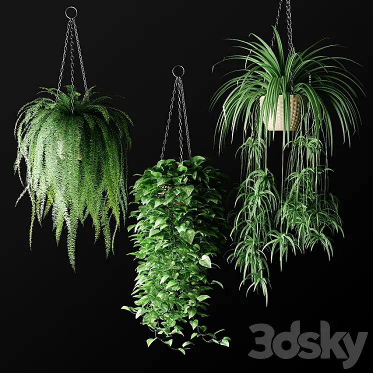 Plants in hanging wicker planters | Plants in Hanging Wicker Planters 3DS Max