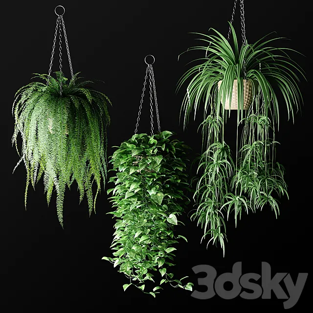 Plants in hanging wicker planters | Plants in Hanging Wicker Planters 3DSMax File