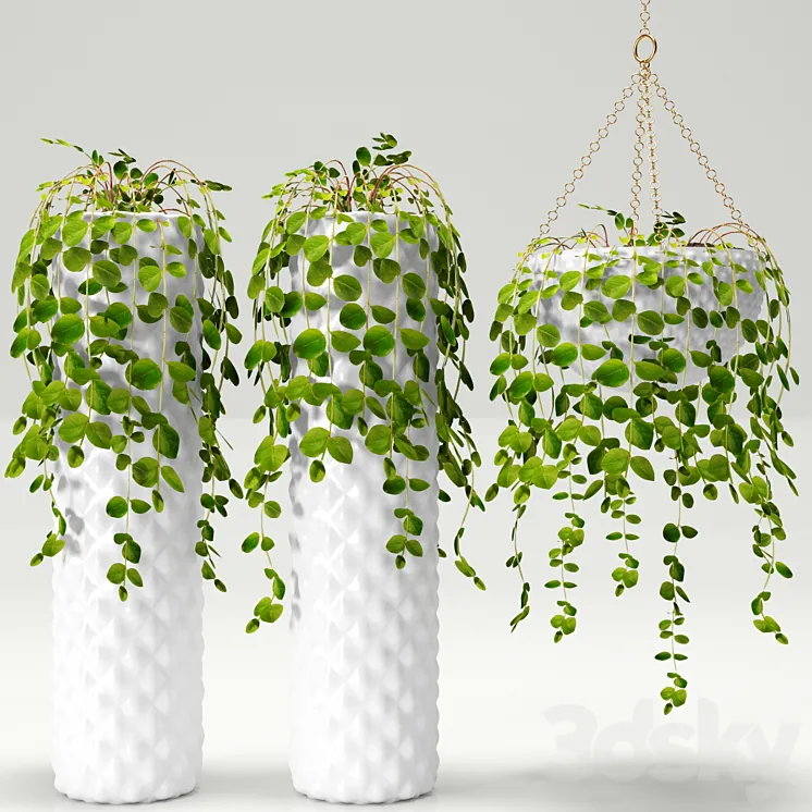 Plants in pots 3DS Max