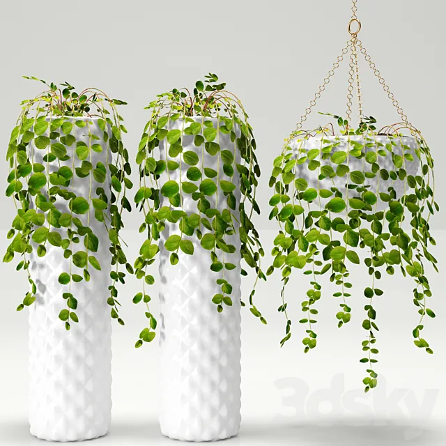 Plants in pots 3DSMax File