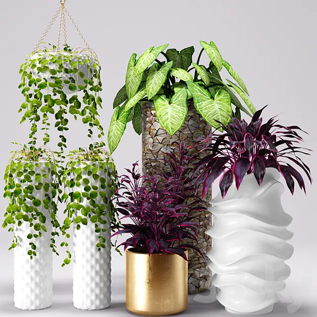 Plants in pots. white pot. flowerpot. flower 3DSMax File