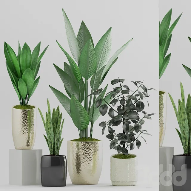 PLANTS – INDOOR – 3D MODELS – 3DS MAX – FREE DOWNLOAD – 16603