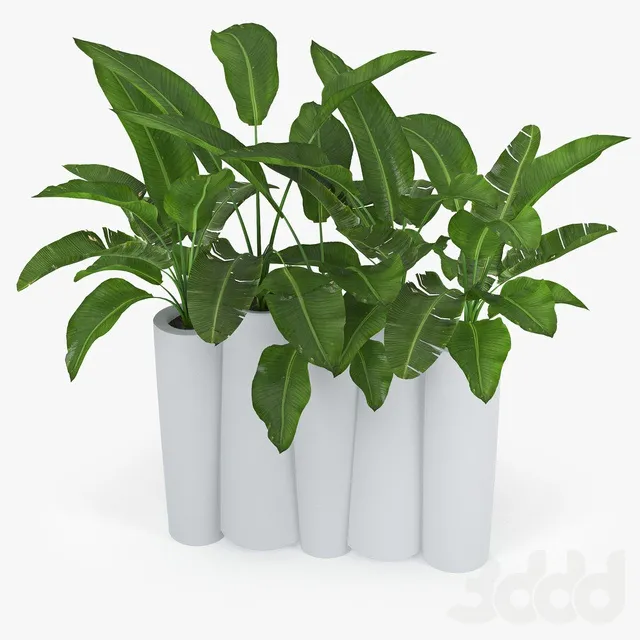 PLANTS – INDOOR – 3D MODELS – 3DS MAX – FREE DOWNLOAD – 16609