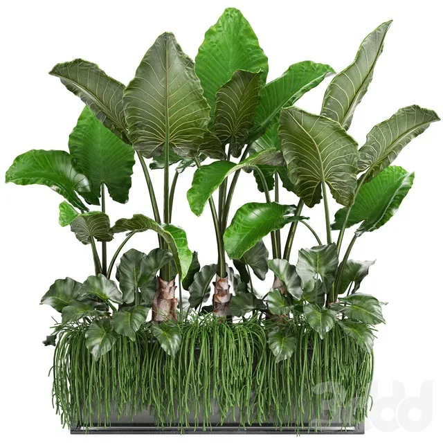 PLANTS – INDOOR – 3D MODELS – 3DS MAX – FREE DOWNLOAD – 16630