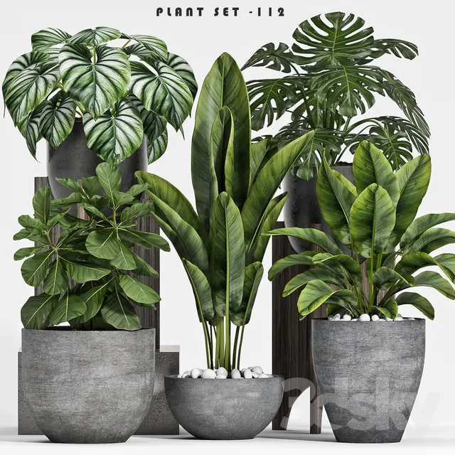 PLANTS – INDOOR – 3D MODELS – 3DS MAX – FREE DOWNLOAD – 16651