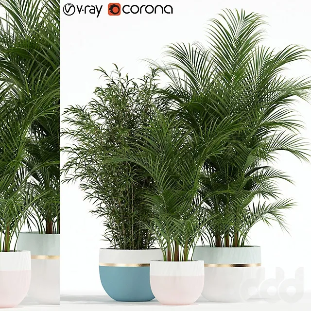 PLANTS – INDOOR – 3D MODELS – 3DS MAX – FREE DOWNLOAD – 16652