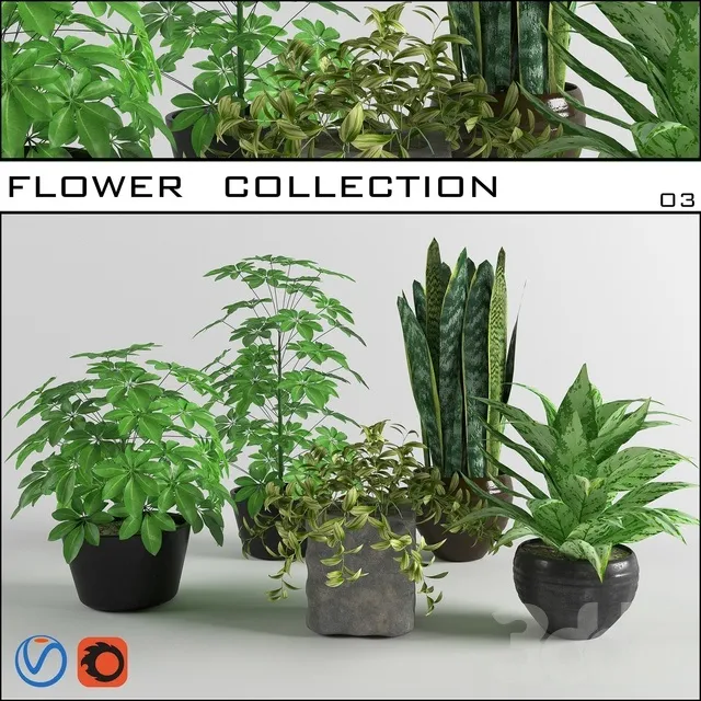 PLANTS – INDOOR – 3D MODELS – 3DS MAX – FREE DOWNLOAD – 16670