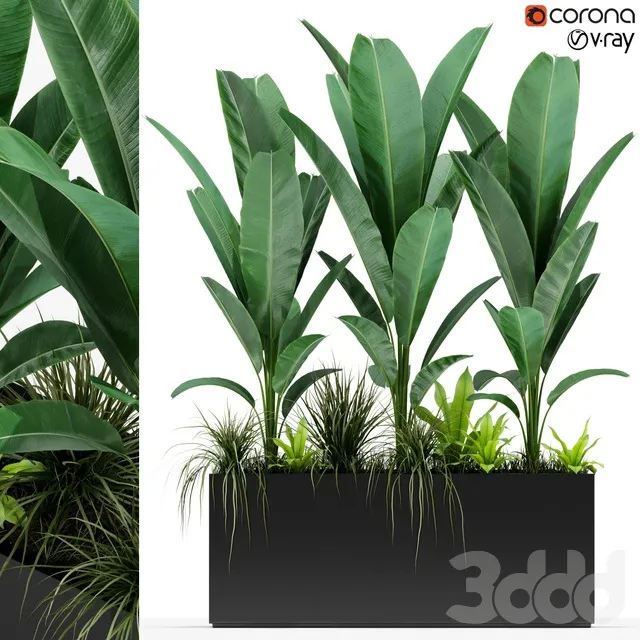 PLANTS – INDOOR – 3D MODELS – 3DS MAX – FREE DOWNLOAD – 16708