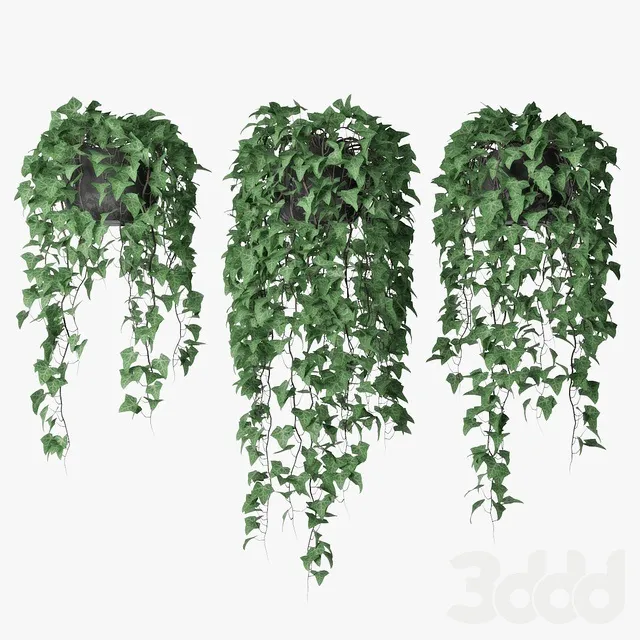 PLANTS – INDOOR – 3D MODELS – 3DS MAX – FREE DOWNLOAD – 16753