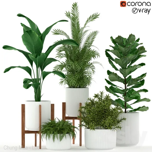 PLANTS – INDOOR – 3D MODELS – 3DS MAX – FREE DOWNLOAD – 16773