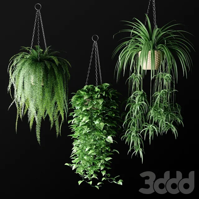 PLANTS – INDOOR – 3D MODELS – 3DS MAX – FREE DOWNLOAD – 16790