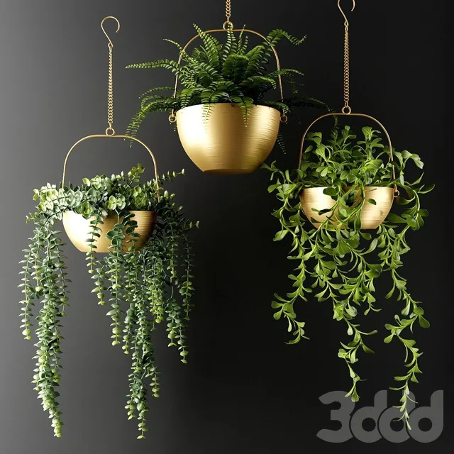 PLANTS – INDOOR – 3D MODELS – 3DS MAX – FREE DOWNLOAD – 16798