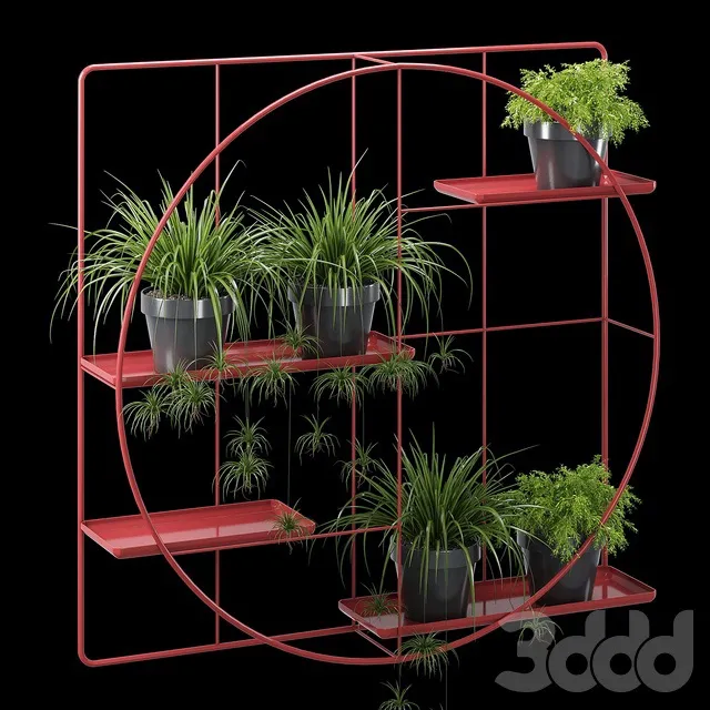 PLANTS – INDOOR – 3D MODELS – 3DS MAX – FREE DOWNLOAD – 16855