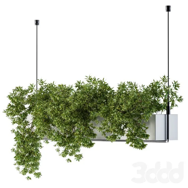 PLANTS – INDOOR – 3D MODELS – 3DS MAX – FREE DOWNLOAD – 16867