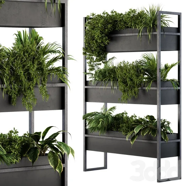 PLANTS – INDOOR – 3D MODELS – 3DS MAX – FREE DOWNLOAD – 16974