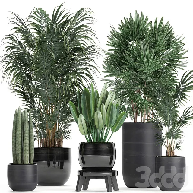 PLANTS – INDOOR – 3D MODELS – 3DS MAX – FREE DOWNLOAD – 16987