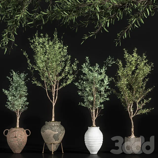 PLANTS – INDOOR – 3D MODELS – 3DS MAX – FREE DOWNLOAD – 17003