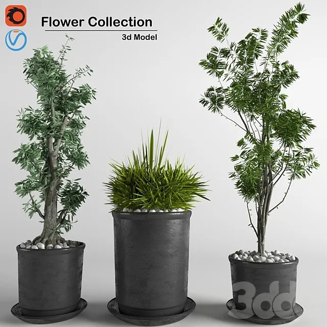 PLANTS – INDOOR – 3D MODELS – 3DS MAX – FREE DOWNLOAD – 17008