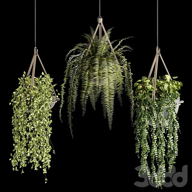 PLANTS – INDOOR – 3D MODELS – 3DS MAX – FREE DOWNLOAD – 17070