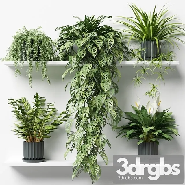 Plants on a shelf in ribbed pots