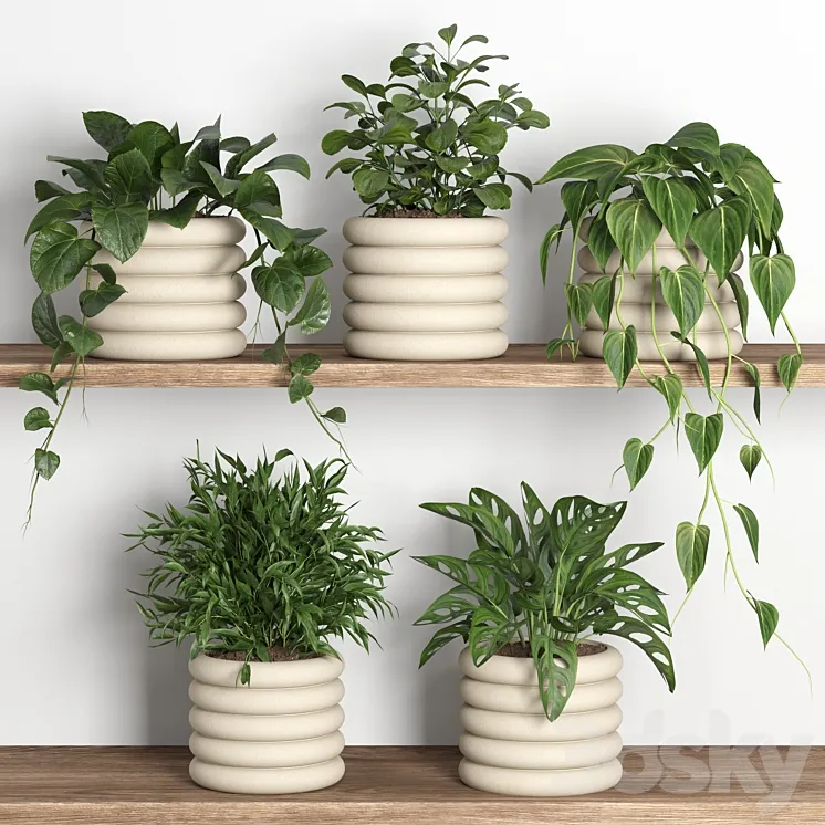 plants on shelf 06 3DS Max Model