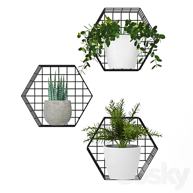 Plants on the wall 3DSMax File