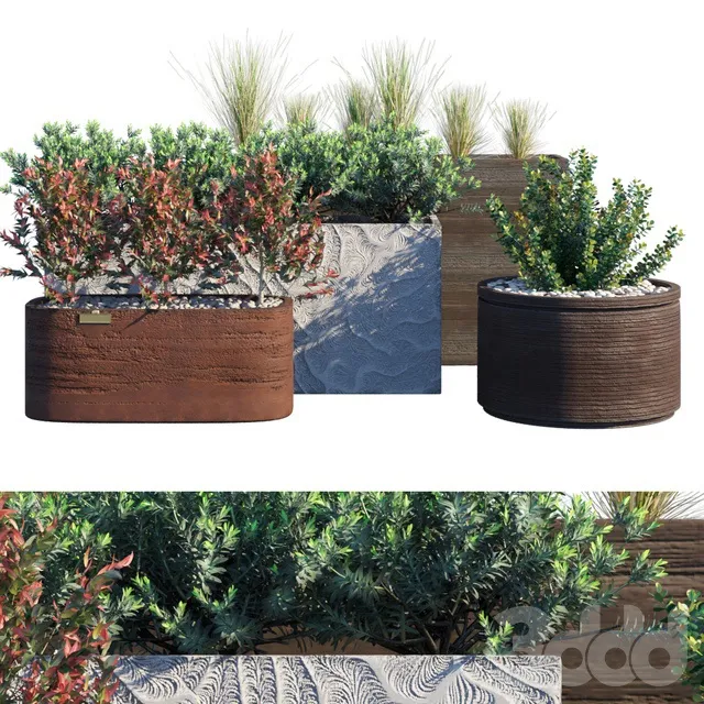 PLANTS – OUTDOOR – 3D MODELS – 3DS MAX – FREE DOWNLOAD – 17093