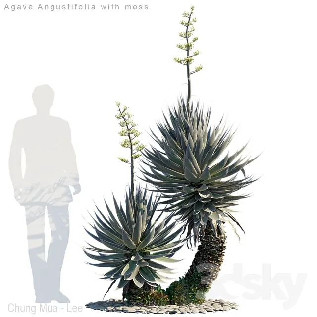 PLANTS – OUTDOOR – 3D MODELS – 3DS MAX – FREE DOWNLOAD – 17099