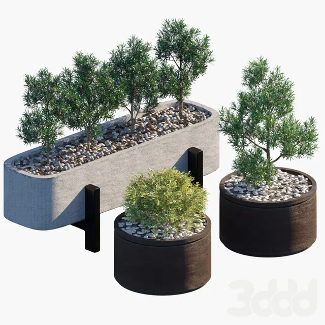 PLANTS – OUTDOOR – 3D MODELS – 3DS MAX – FREE DOWNLOAD – 17124