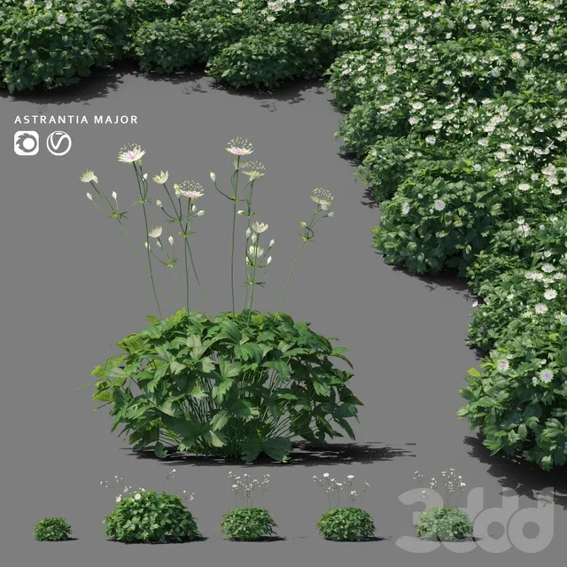 PLANTS – OUTDOOR – 3D MODELS – 3DS MAX – FREE DOWNLOAD – 17128