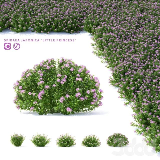 PLANTS – OUTDOOR – 3D MODELS – 3DS MAX – FREE DOWNLOAD – 17138