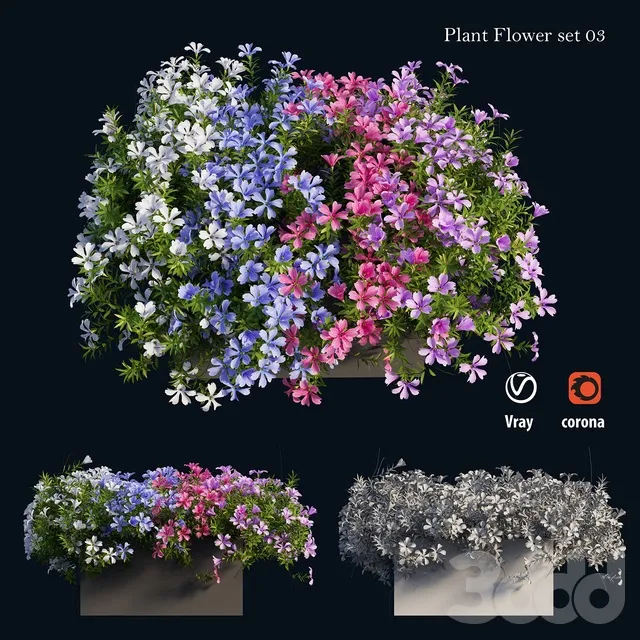 PLANTS – OUTDOOR – 3D MODELS – 3DS MAX – FREE DOWNLOAD – 17140