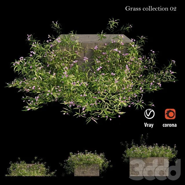PLANTS – OUTDOOR – 3D MODELS – 3DS MAX – FREE DOWNLOAD – 17141