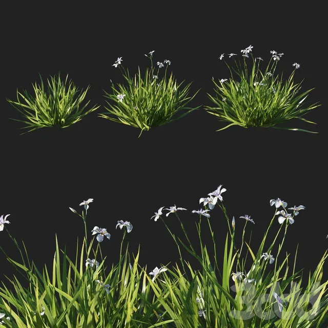 PLANTS – OUTDOOR – 3D MODELS – 3DS MAX – FREE DOWNLOAD – 17150