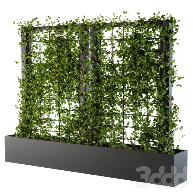 PLANTS – OUTDOOR – 3D MODELS – 3DS MAX – FREE DOWNLOAD – 17152