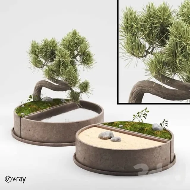 PLANTS – OUTDOOR – 3D MODELS – 3DS MAX – FREE DOWNLOAD – 17155