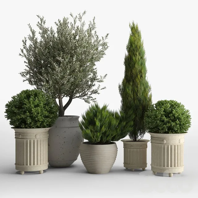 PLANTS – OUTDOOR – 3D MODELS – 3DS MAX – FREE DOWNLOAD – 17157