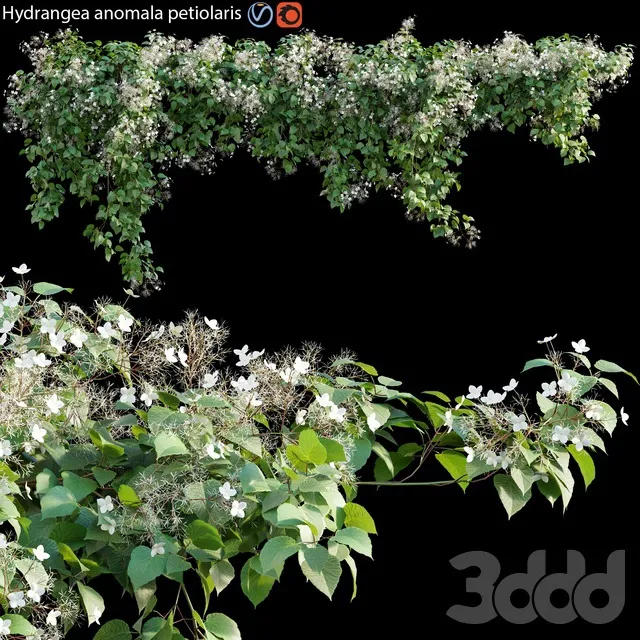 PLANTS – OUTDOOR – 3D MODELS – 3DS MAX – FREE DOWNLOAD – 17159