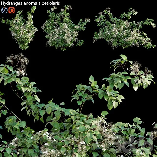 PLANTS – OUTDOOR – 3D MODELS – 3DS MAX – FREE DOWNLOAD – 17162