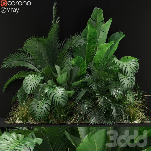 PLANTS – OUTDOOR – 3D MODELS – 3DS MAX – FREE DOWNLOAD – 17163
