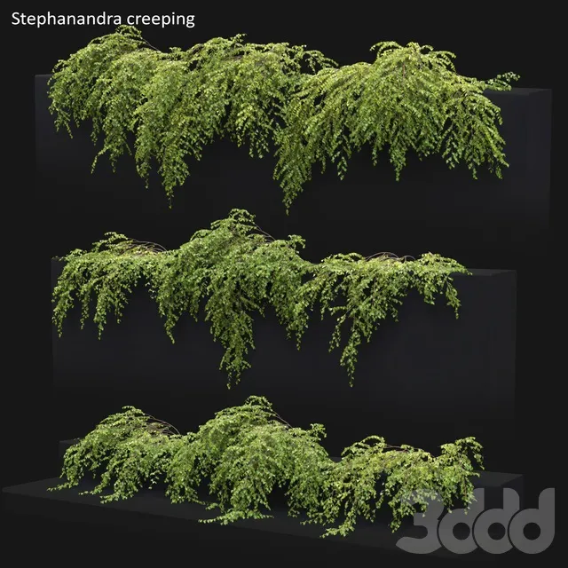 PLANTS – OUTDOOR – 3D MODELS – 3DS MAX – FREE DOWNLOAD – 17165