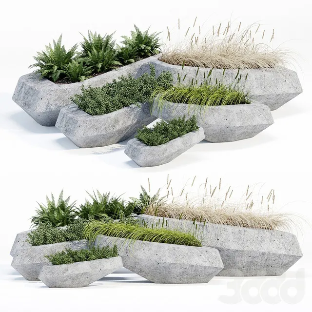 PLANTS – OUTDOOR – 3D MODELS – 3DS MAX – FREE DOWNLOAD – 17170