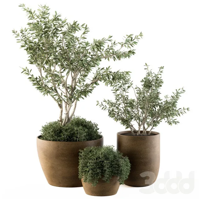 PLANTS – OUTDOOR – 3D MODELS – 3DS MAX – FREE DOWNLOAD – 17171