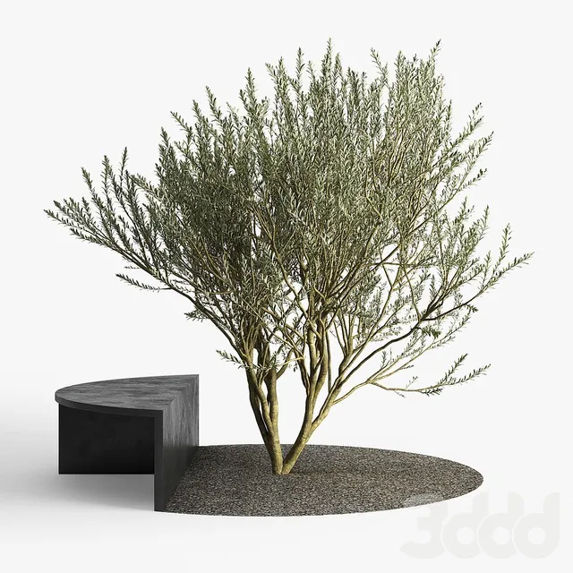 PLANTS – OUTDOOR – 3D MODELS – 3DS MAX – FREE DOWNLOAD – 17178