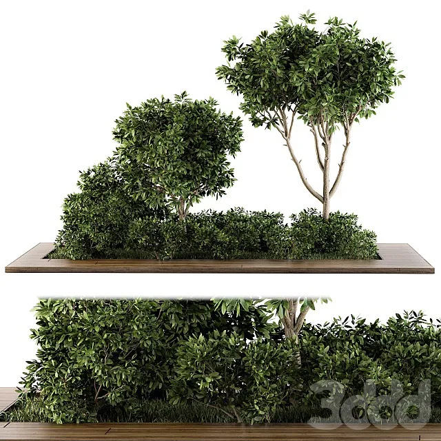 PLANTS – OUTDOOR – 3D MODELS – 3DS MAX – FREE DOWNLOAD – 17191