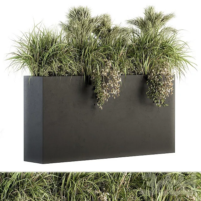 PLANTS – OUTDOOR – 3D MODELS – 3DS MAX – FREE DOWNLOAD – 17192