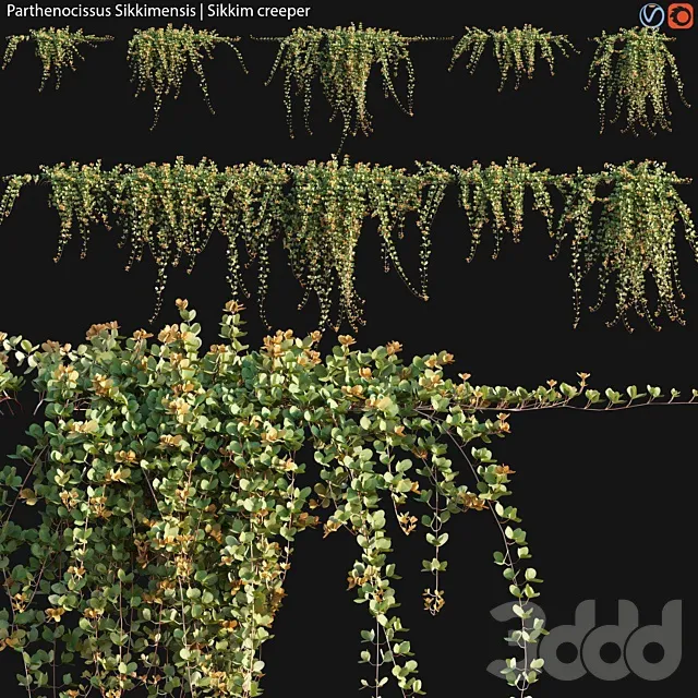 PLANTS – OUTDOOR – 3D MODELS – 3DS MAX – FREE DOWNLOAD – 17195