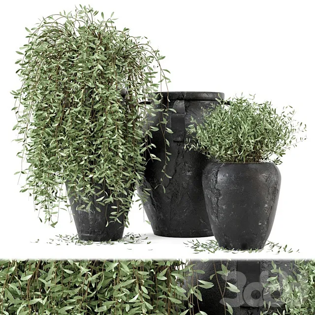 PLANTS – OUTDOOR – 3D MODELS – 3DS MAX – FREE DOWNLOAD – 17196